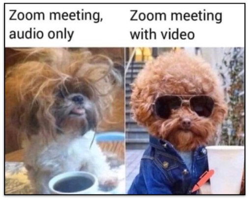 dogzoom