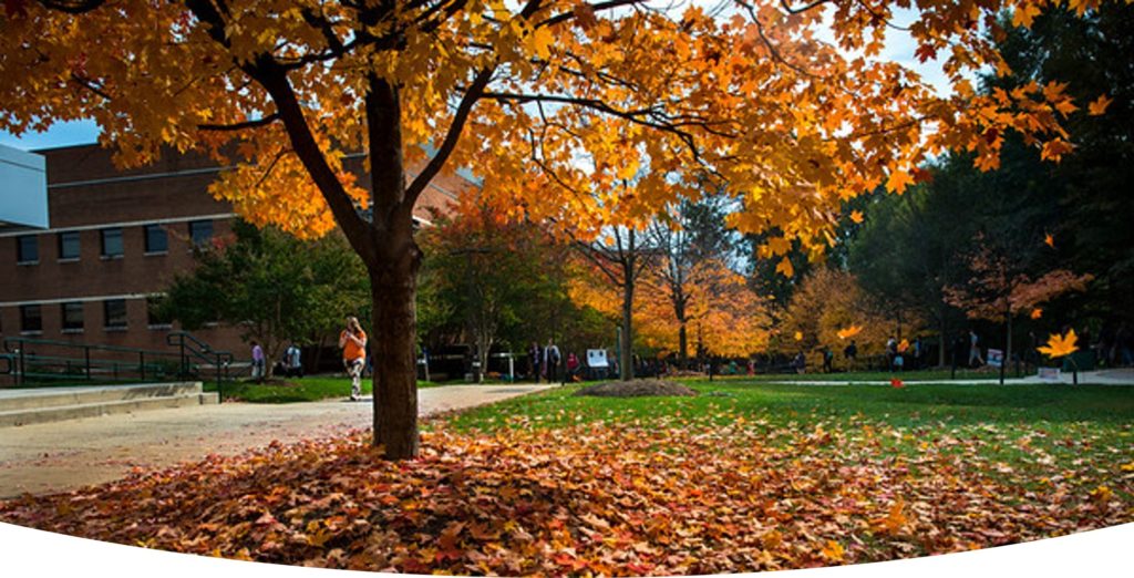 gmu fall